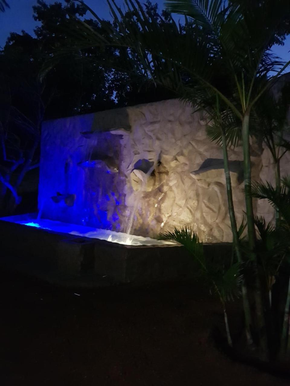 雾观Numbi Hills Self-Catering别墅 外观 照片